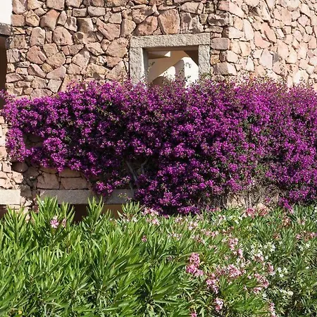 Punta Asfodeli * Porto Rotondo